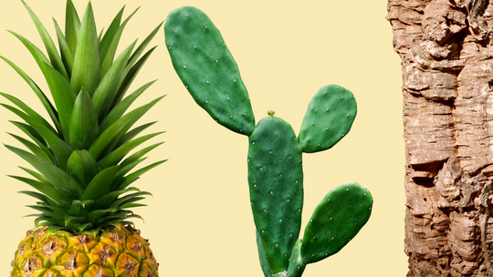 What do pineapple, cactus and cork have in common? it's logic and the commitment to natural materials