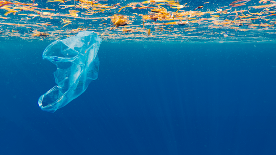 The Atlantic holds 10x the amount of plastic than previously thought